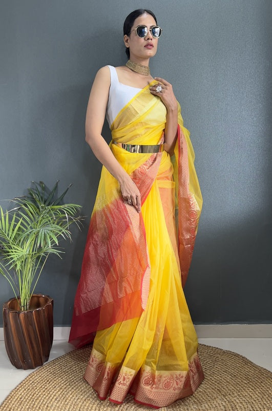 Organza Saree