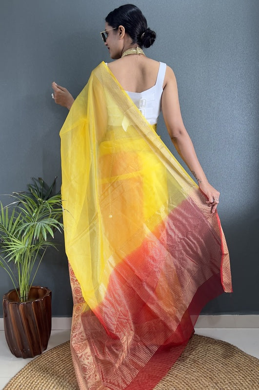 Organza Saree