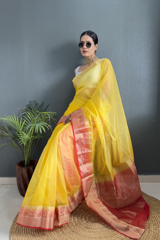 Organza Saree