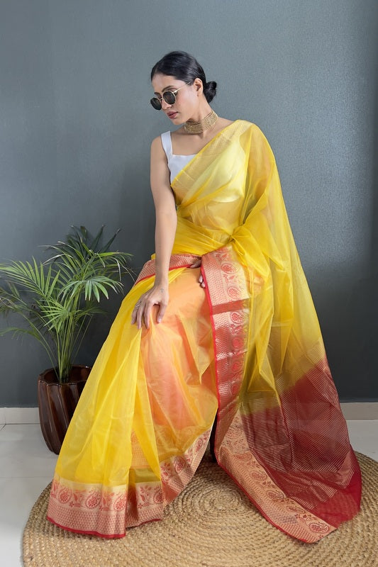 Organza Saree