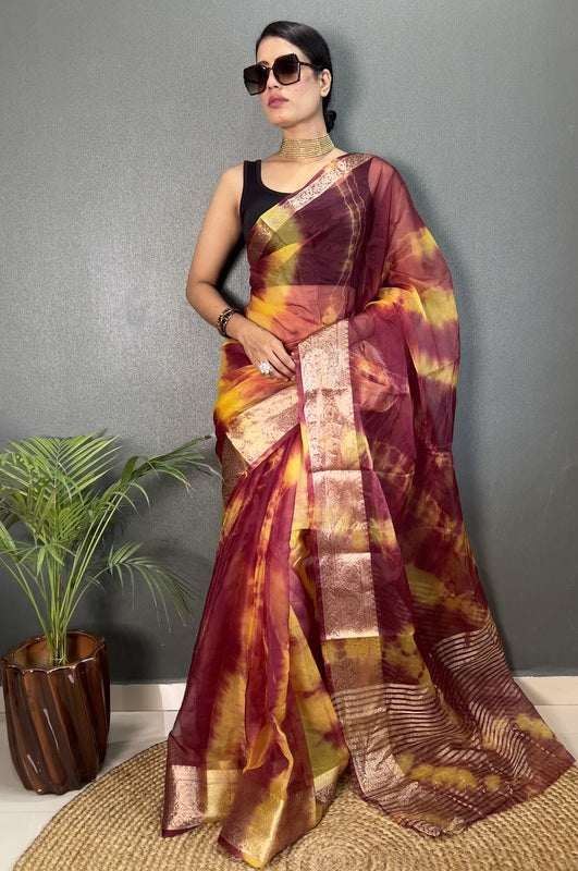 Organza Saree