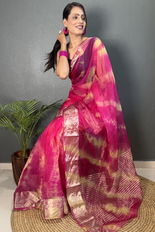 Organza Saree