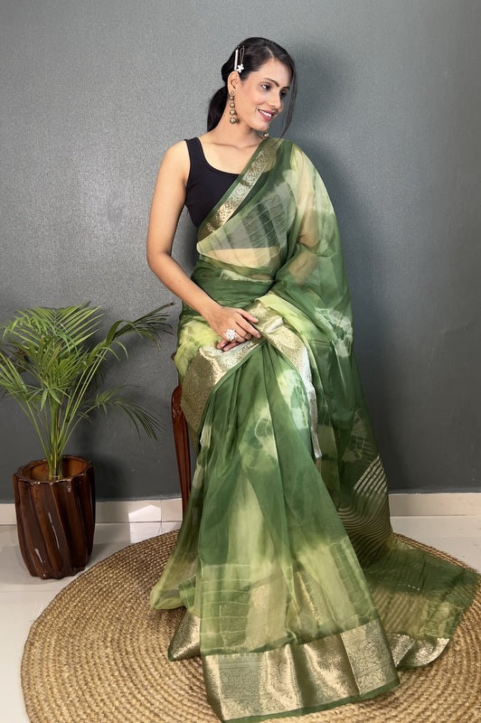 Organza Saree