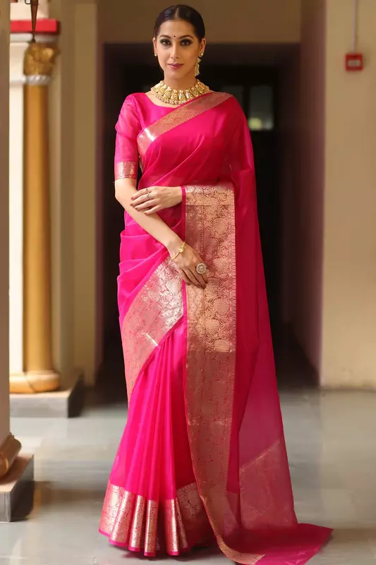Organza Saree