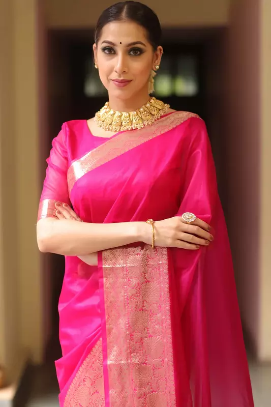 Organza Saree