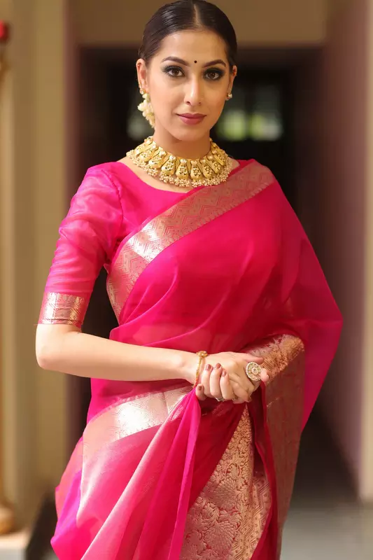 Organza Saree