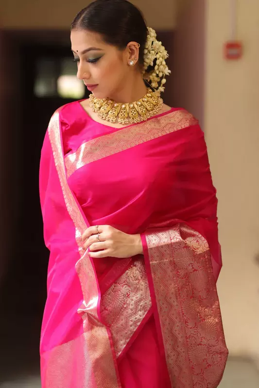 Organza Saree