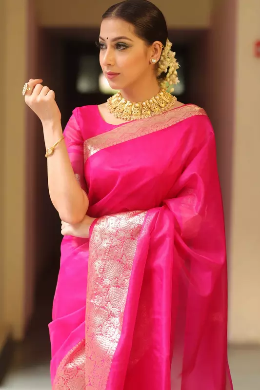 Organza Saree