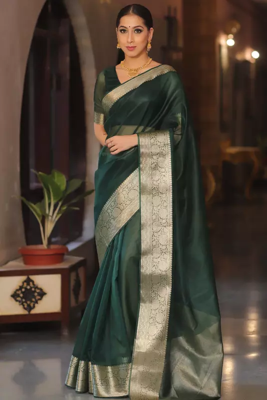 Organza Saree