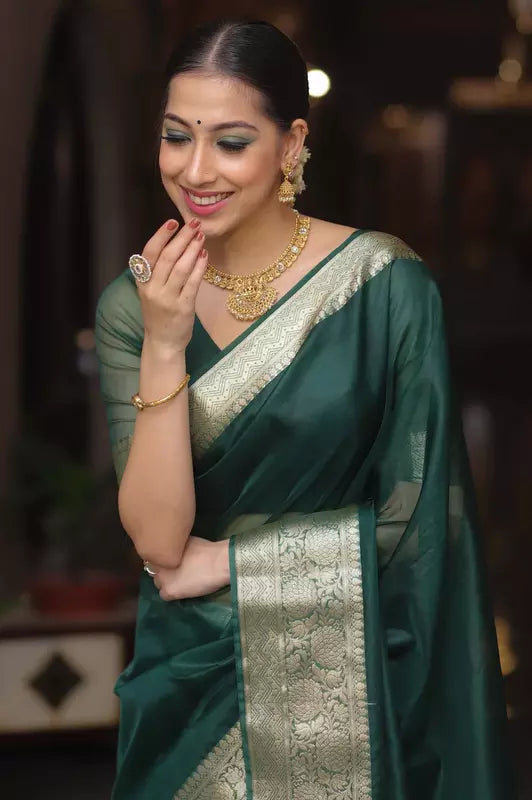 Organza Saree