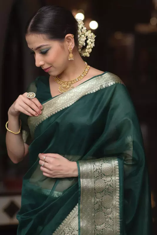 Organza Saree