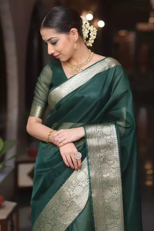 Organza Saree