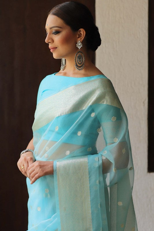 Organza Saree