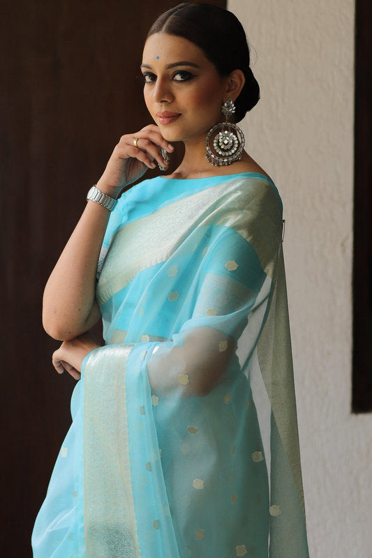 Organza Saree