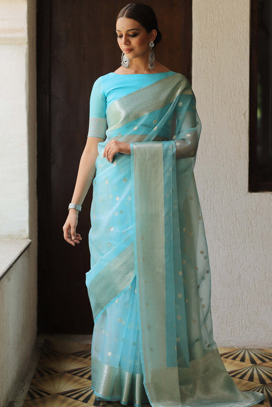 Organza Saree