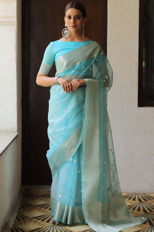 Organza Saree