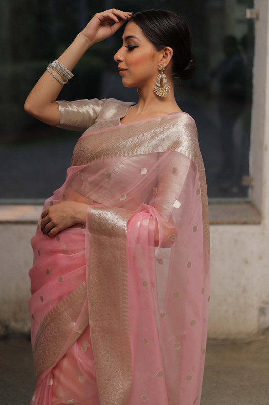 Organza Saree