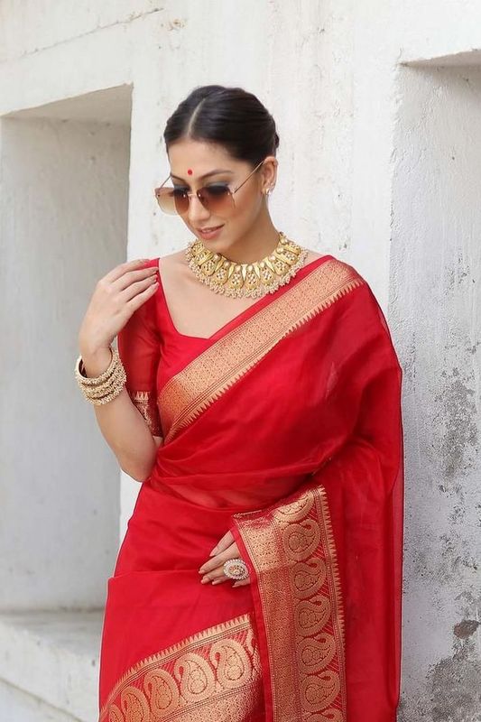Organza Saree