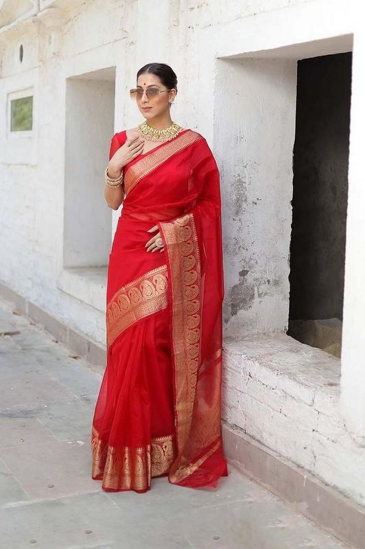 Organza Saree