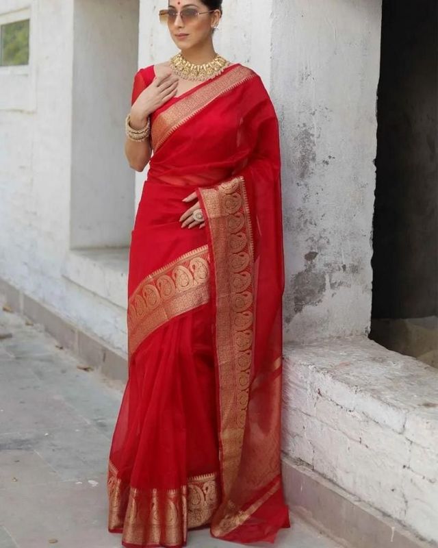 Organza Saree