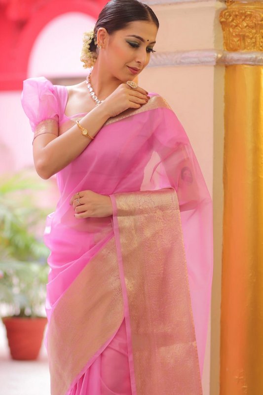 Organza Saree