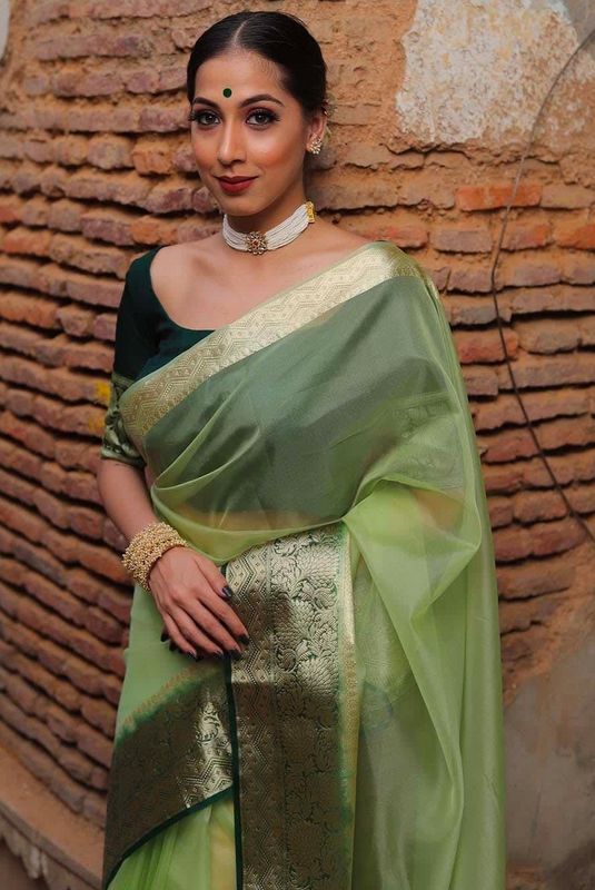 Organza Saree