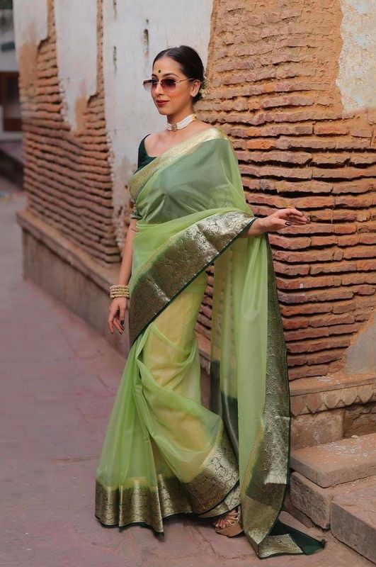 Organza Saree